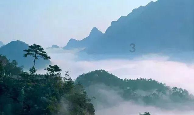 @青岛市民,领红包了!2024年“青岛城管有奖随手拍”全新上线
